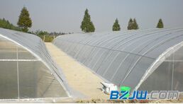 【邯鄲銷量好的農(nóng)用薄膜推薦:農(nóng)用薄膜代理加盟】_邯鄲銷量好的農(nóng)用薄膜推薦:農(nóng)用薄膜代理加盟價格_邯鄲銷量好的農(nóng)用薄膜推薦:農(nóng)用薄膜代理加盟廠家-到中華標(biāo)準(zhǔn)件網(wǎng)